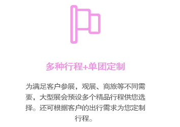 多種行程可選，還可根據(jù)參展企業(yè)的情況，私人個(gè)性訂制商旅行程！