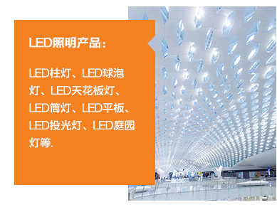 ?	LED照明產(chǎn)品：LED柱燈、LED球泡燈、LED天花板燈、LED筒燈、LED平板、LED投光燈、LED庭園燈等。